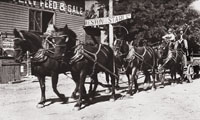 Freight wagon in Weston Oregon