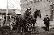 Horse-drawn dray