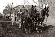 Horse team and dray